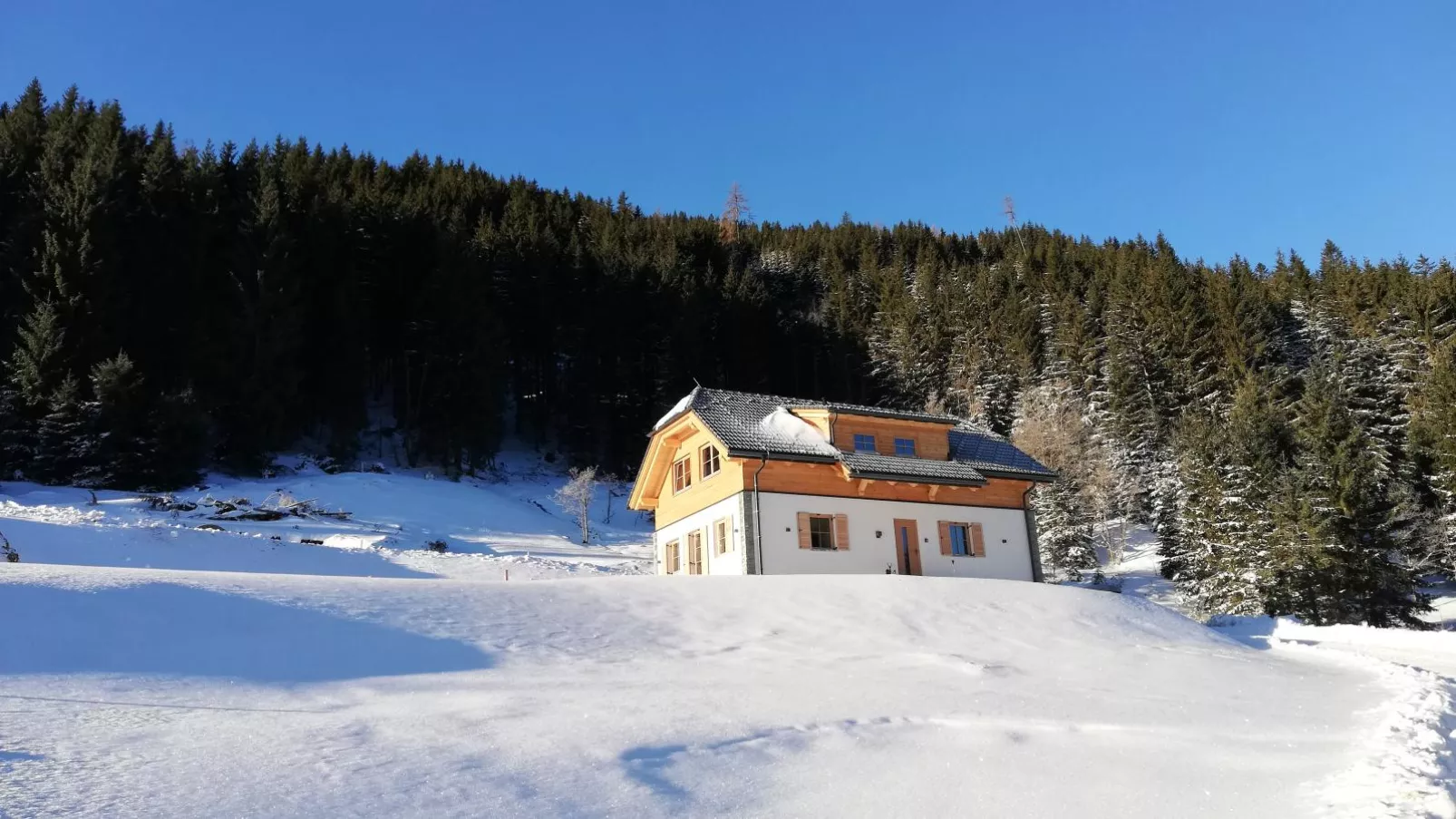 Haus Liene-Exterieur winter