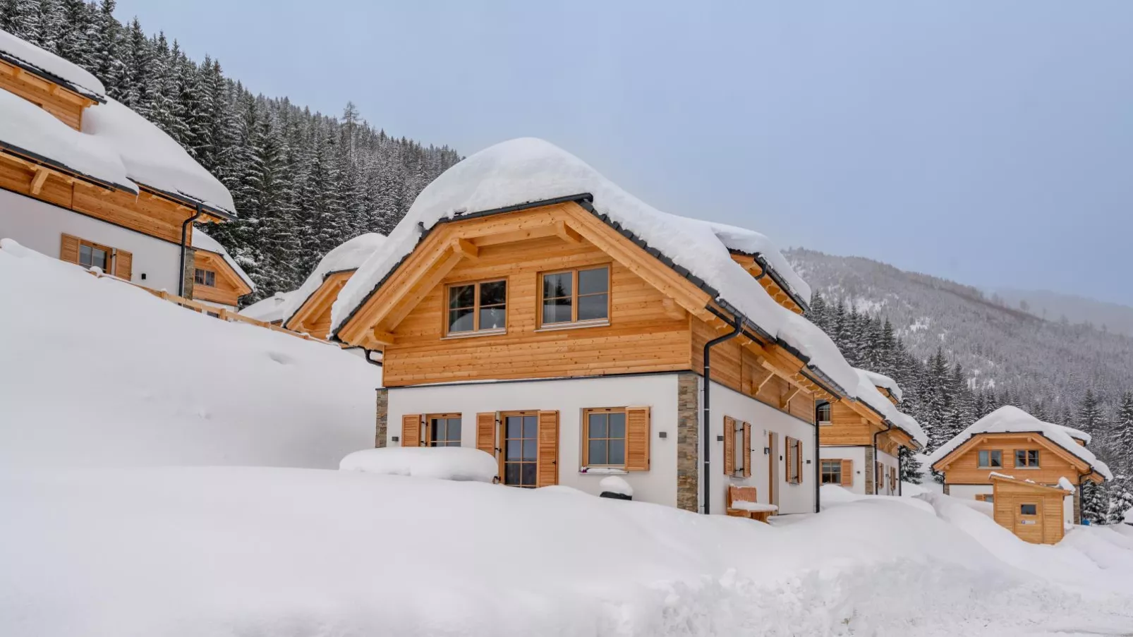 Haus Enzian-Exterieur winter