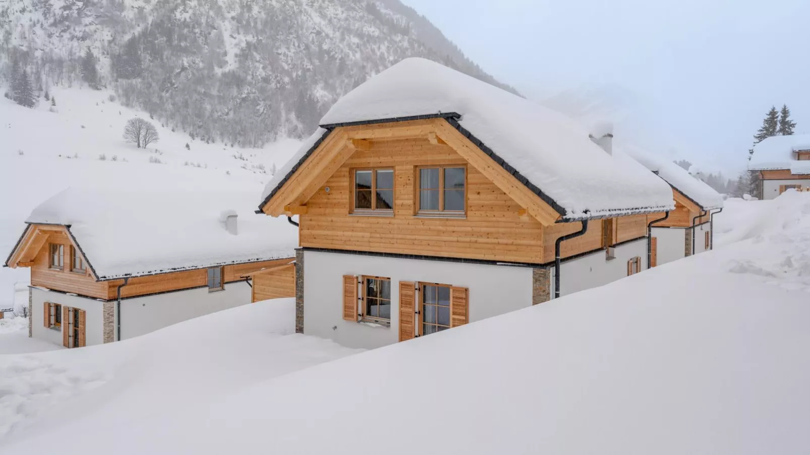 Haus Enzian-Exterieur winter