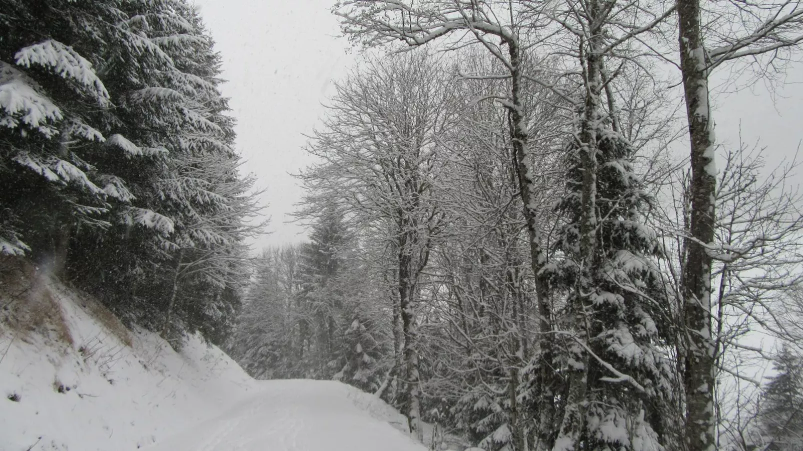 Haus Hestia-Gebied winter 1km