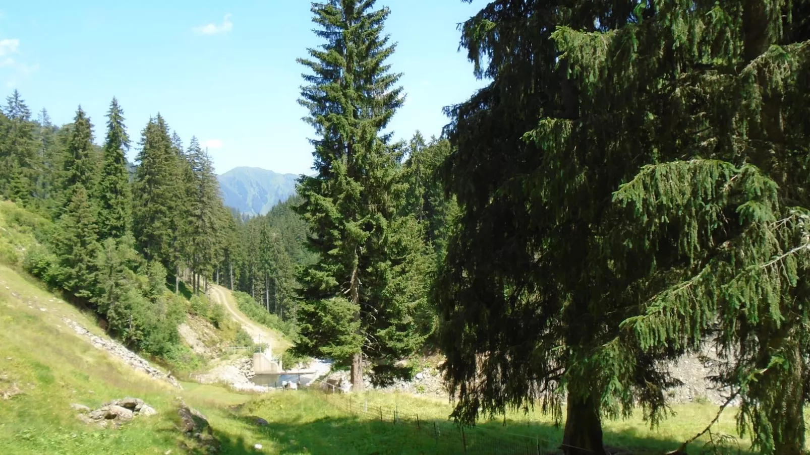 Haus Hestia-Gebieden zomer 5km