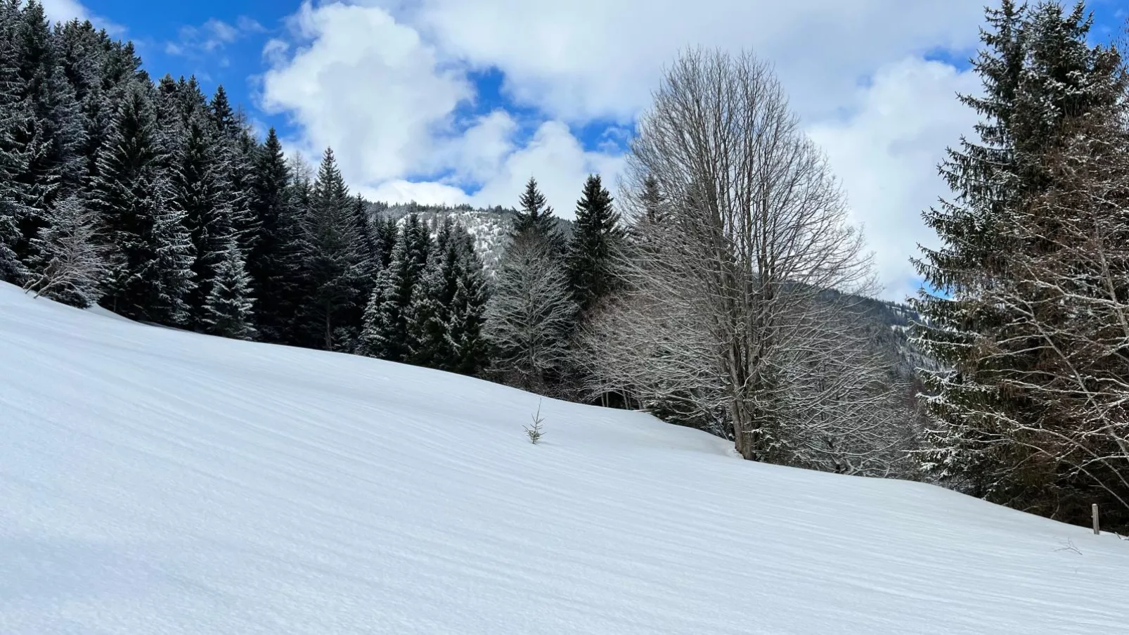 Haus Bente-Gebied winter 1km