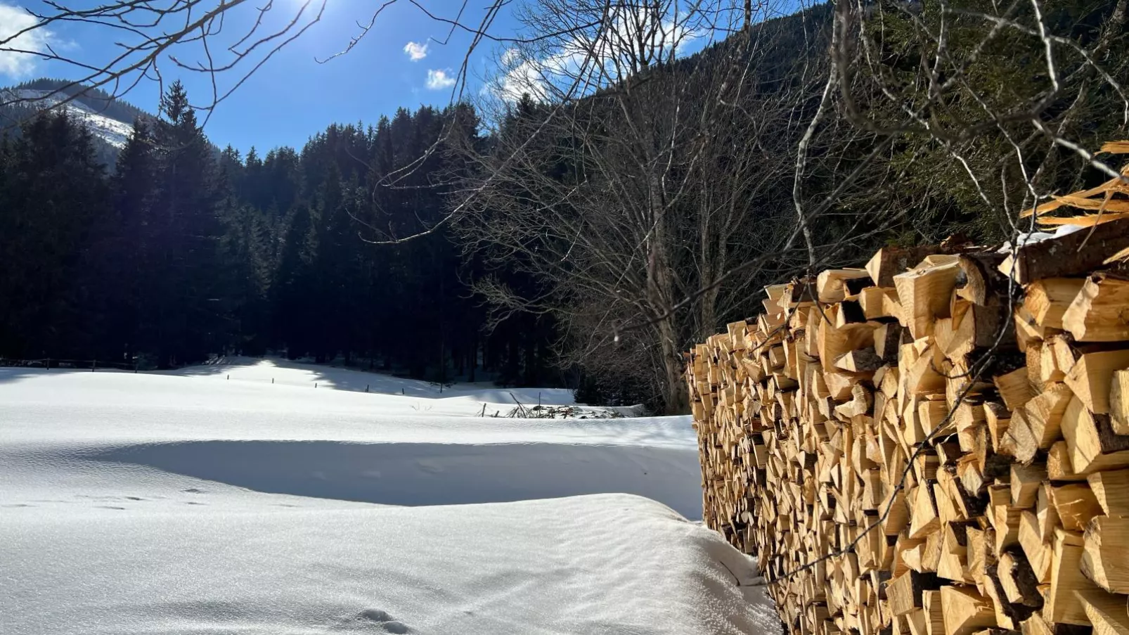 Haus Bente-Gebied winter 1km