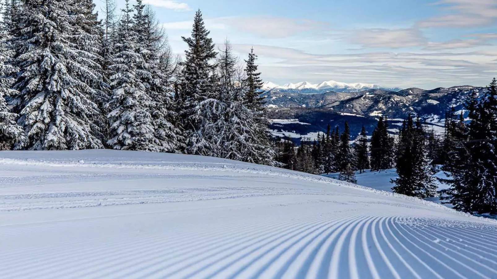 Grebenzen Lodge Pabstin 36B-Gebied winter 1km