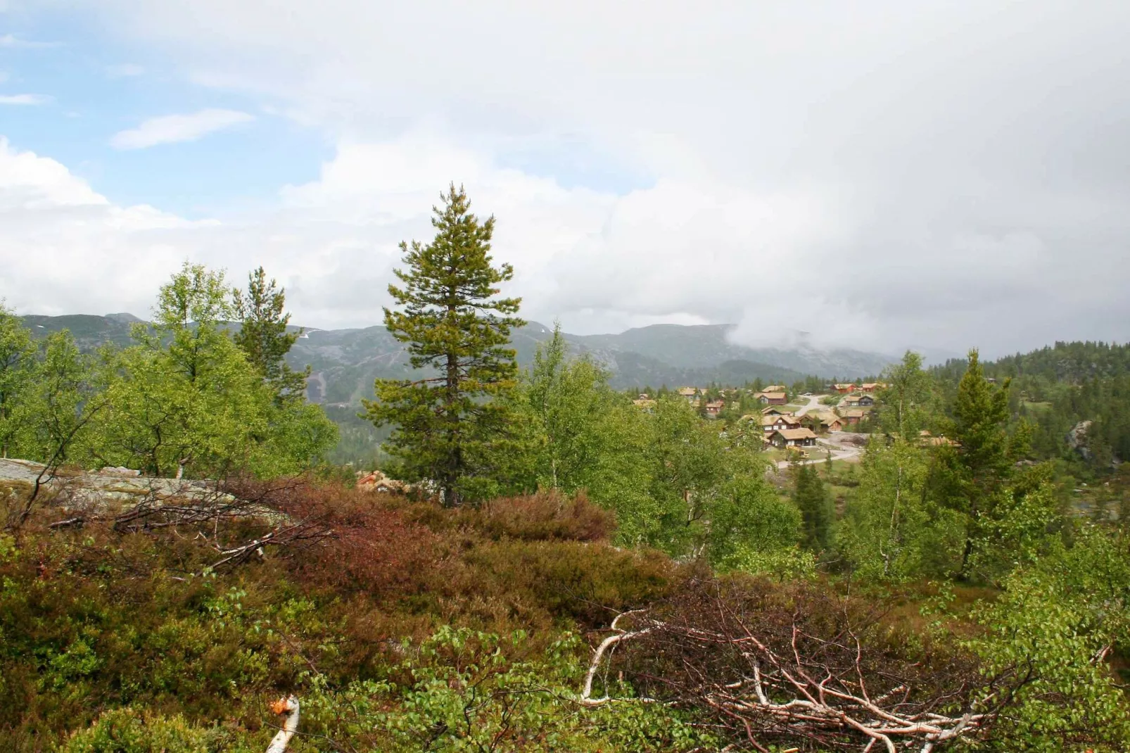 35336 BORTELID PANORAMA 4-Uitzicht