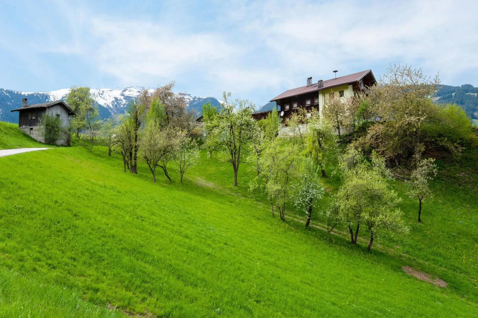 Klammerhof - Zillertalblick-Gebieden zomer 1km