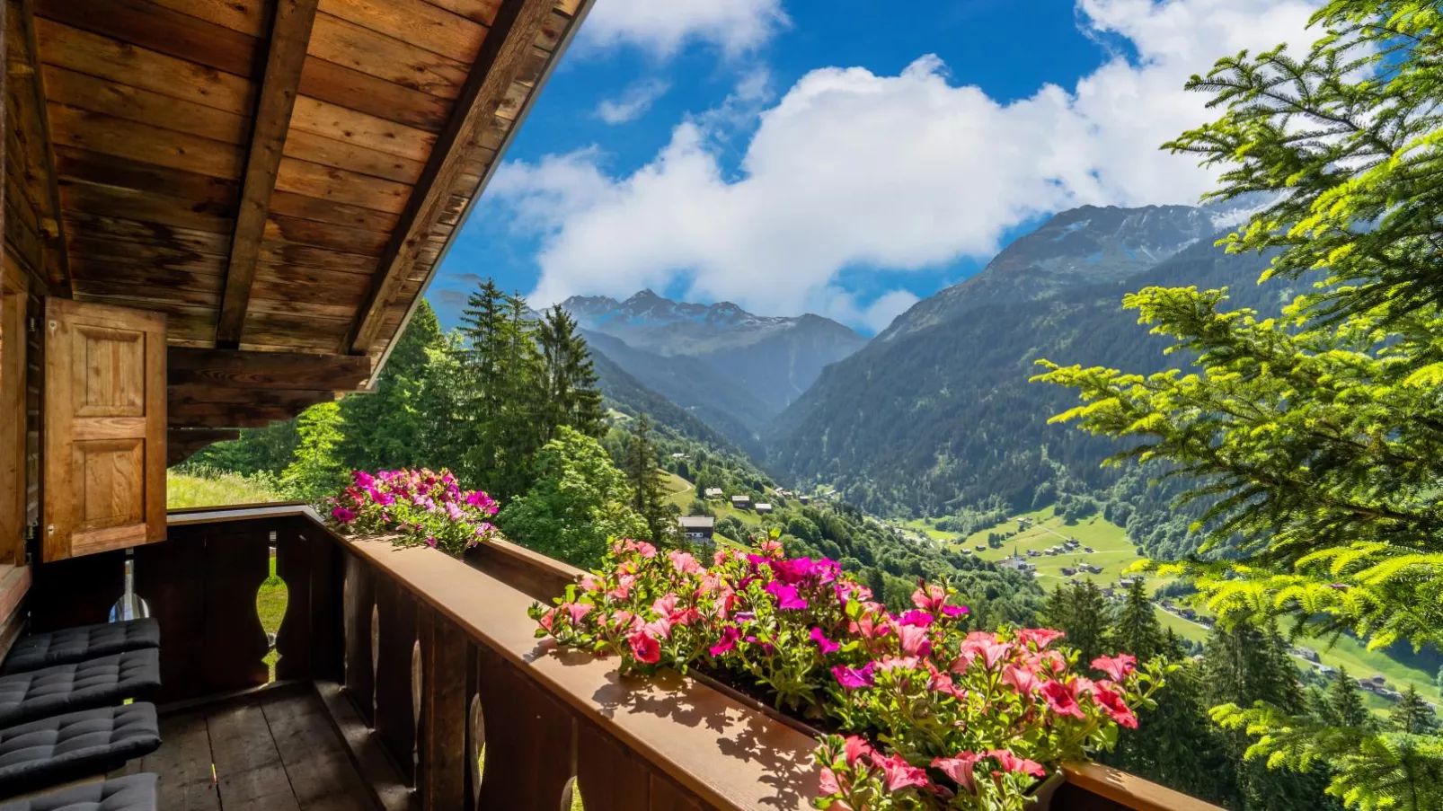 Ferienhaus Vonderleu-Uitzicht zomer