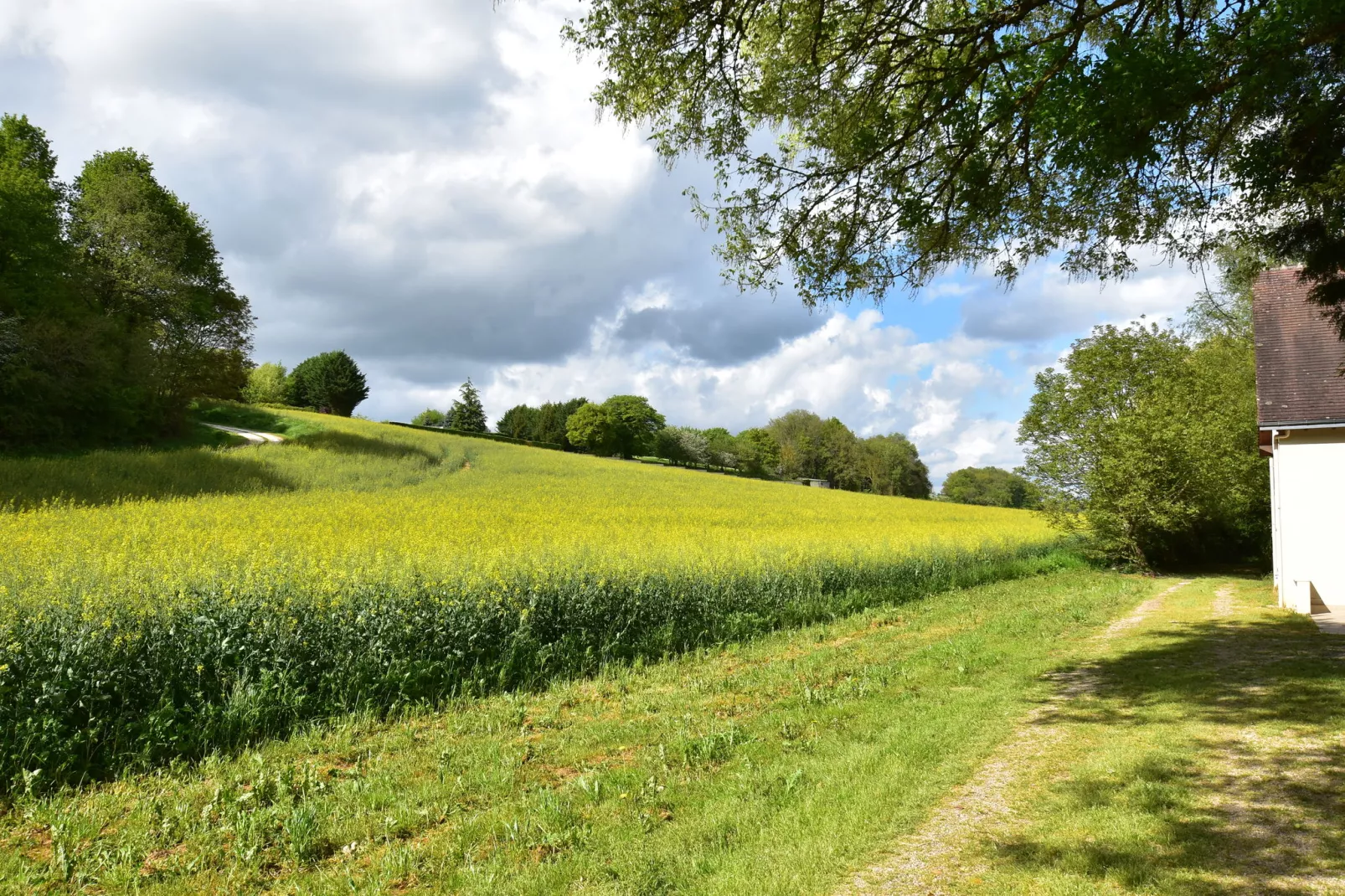 La Campagne-Gebieden zomer 1km