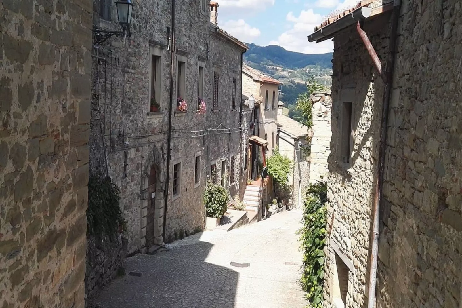 Agriturismo La Torre-Gebieden zomer 1km