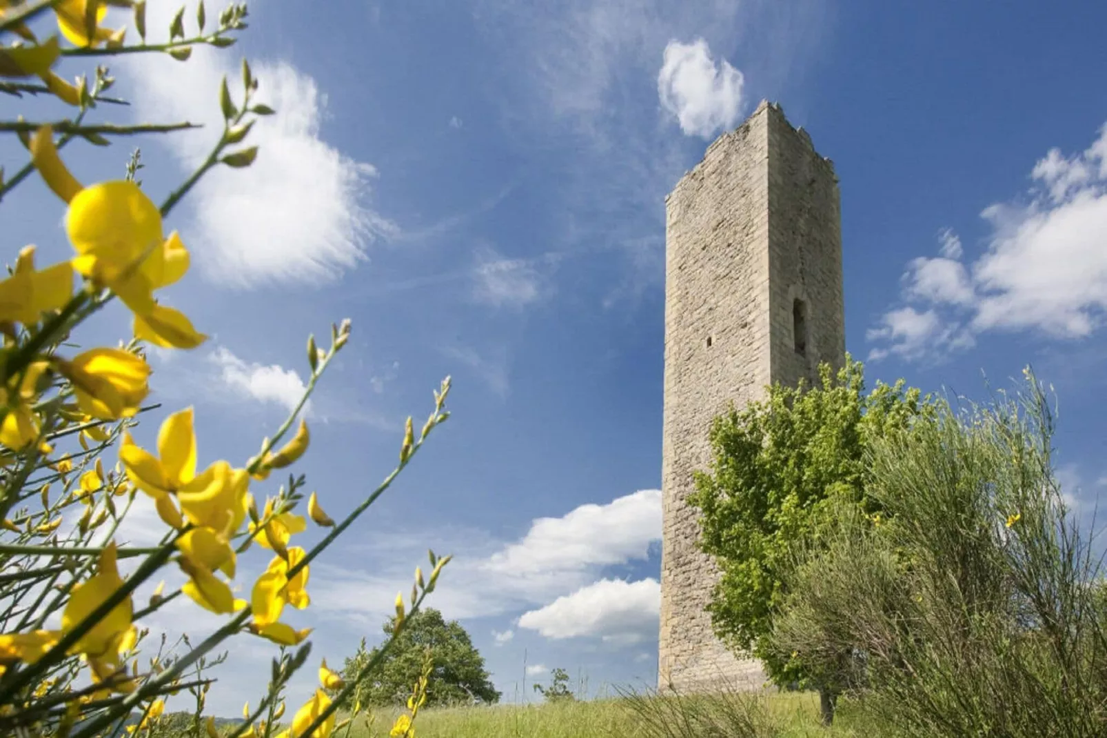 Agriturismo La Torre-Gebieden zomer 1km