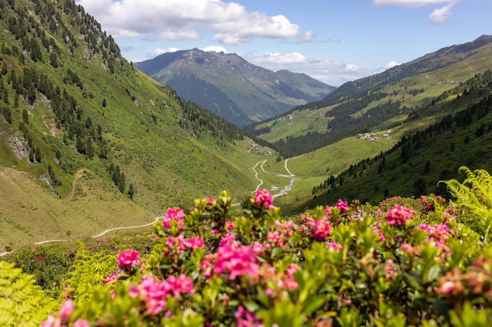 Thaler Hütte - Gipfelstürmer-Gebieden zomer 5km