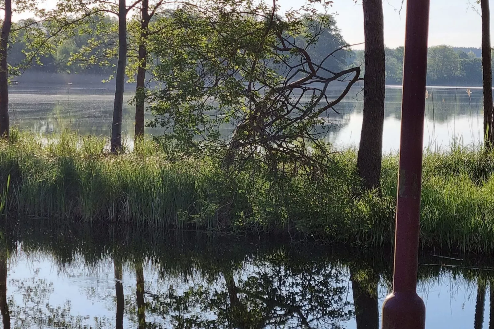 Ferienwohnung Seeblick-Gebieden zomer 1km