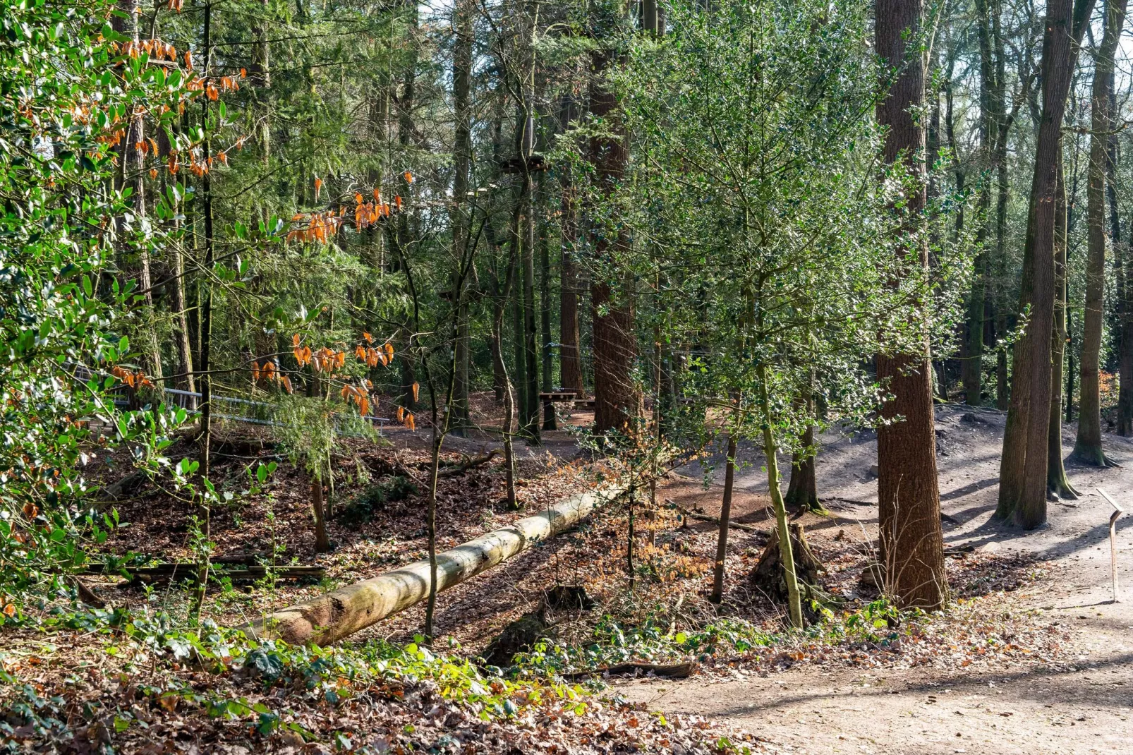 Chalet Alkenhaer nr 35-Gebieden zomer 1km