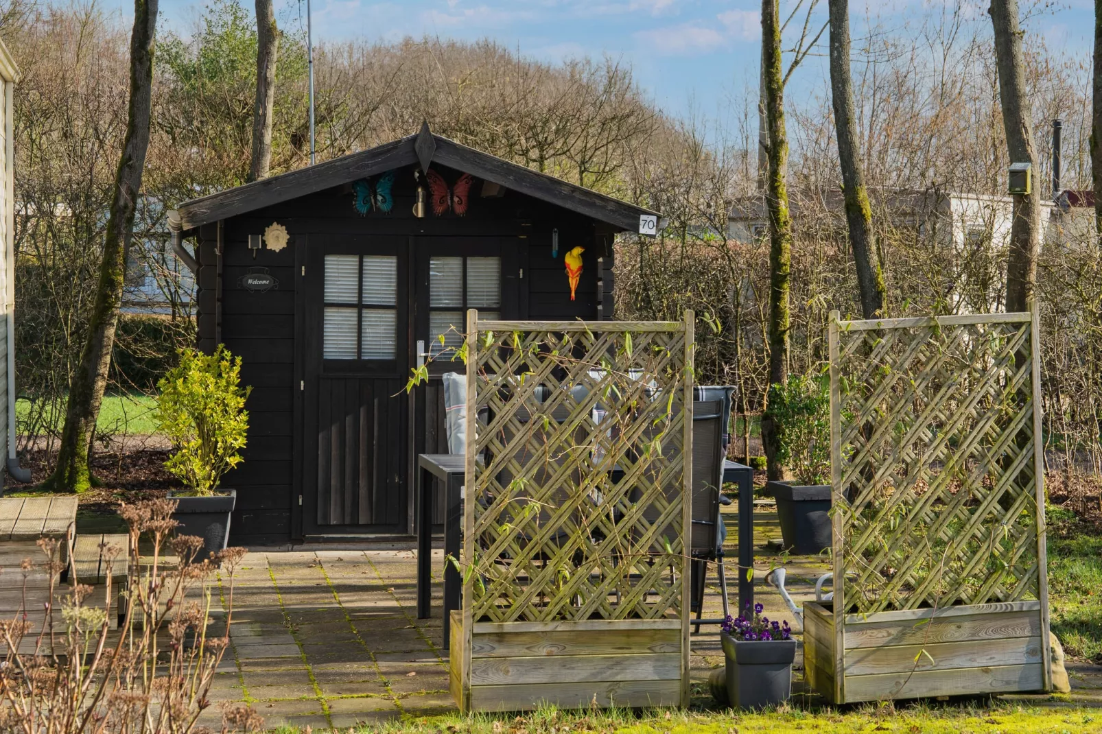 Chalet Alkenhaer nr 70-Tuinen zomer