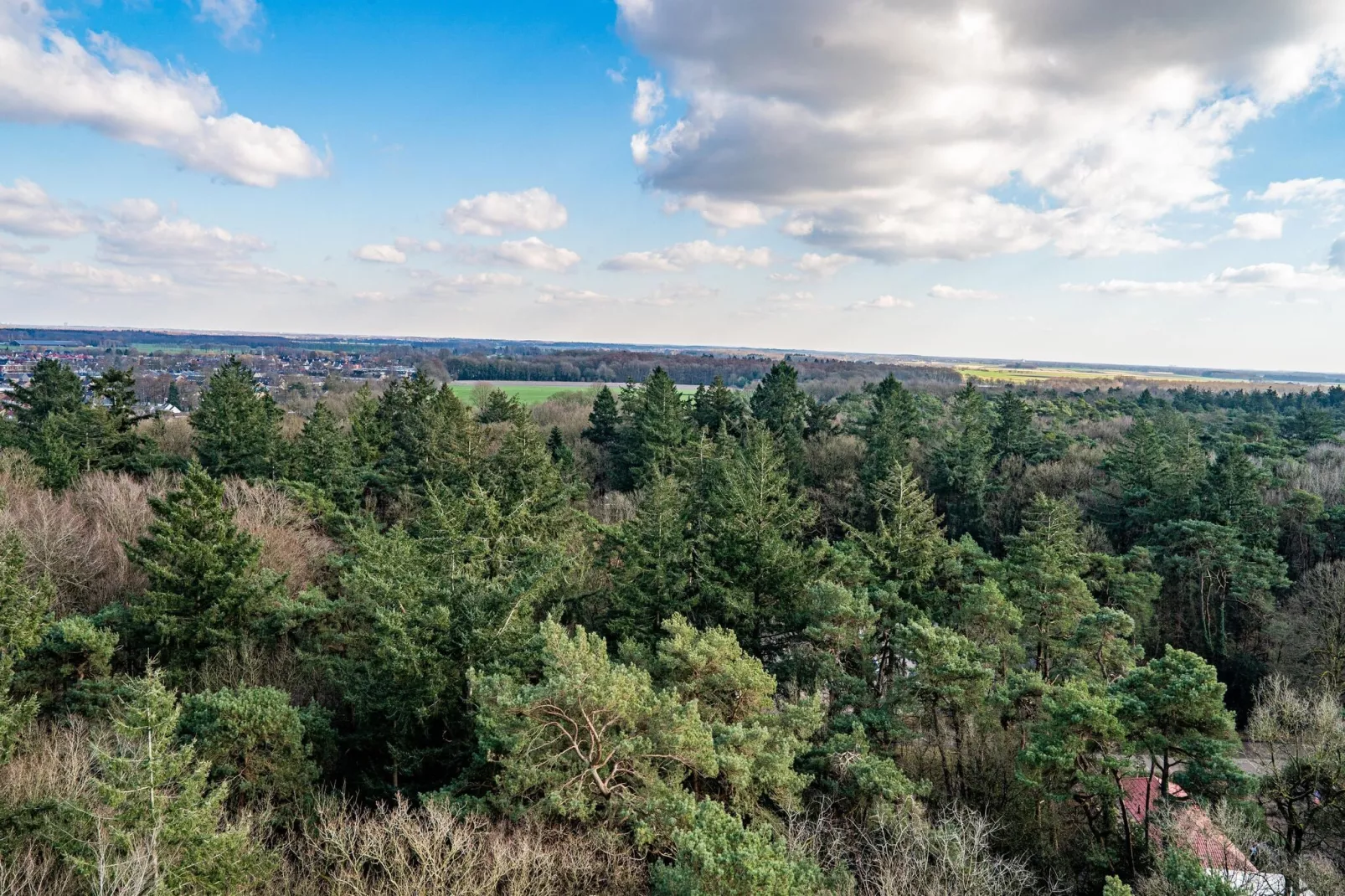 Chalet Alkenhaer nr 80a-Gebieden zomer 5km