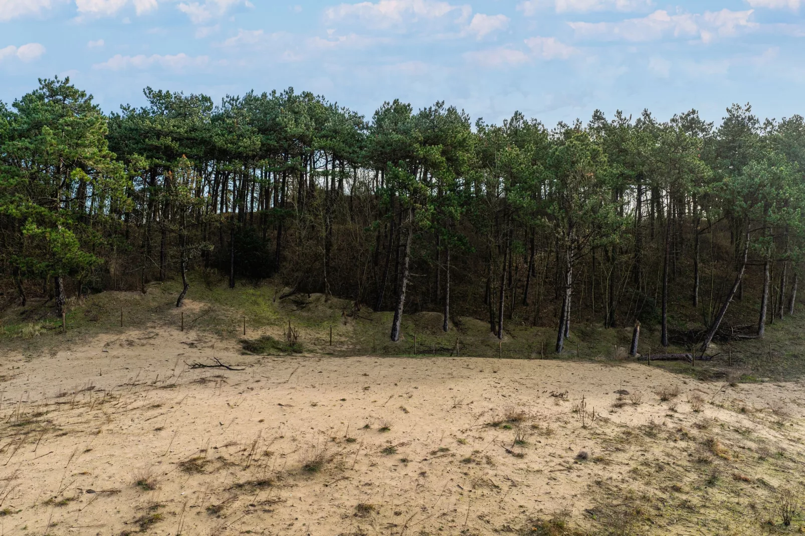 Apartments De Egmonden Egmond aan Zee-4 P-Gebieden zomer 1km