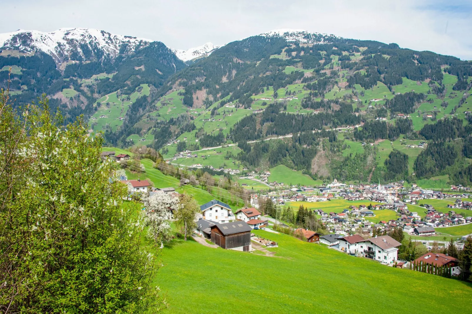 Klammerhof - Wiesenblick-Uitzicht zomer