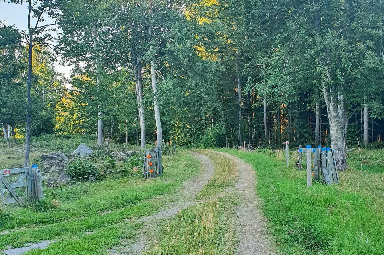 4 persoons vakantie huis in HÄLLEKIS-Buitenlucht