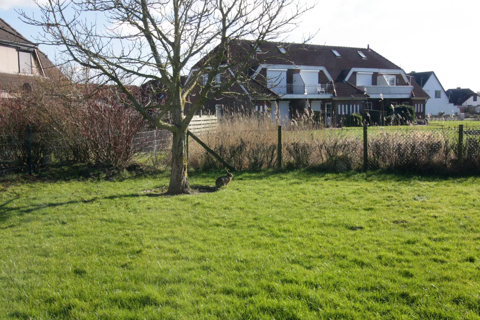 Reihenhaus Friedrichskoog-Spitze Kleiner Steert 4-Uitzicht winter