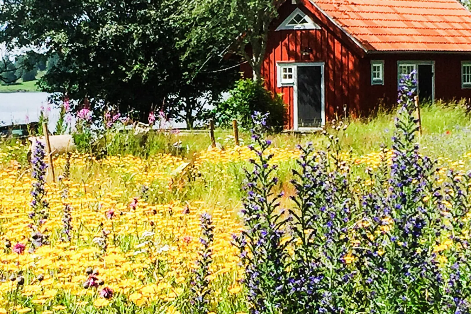 2 persoons vakantie huis in Bellö-By Traum-Buitenlucht