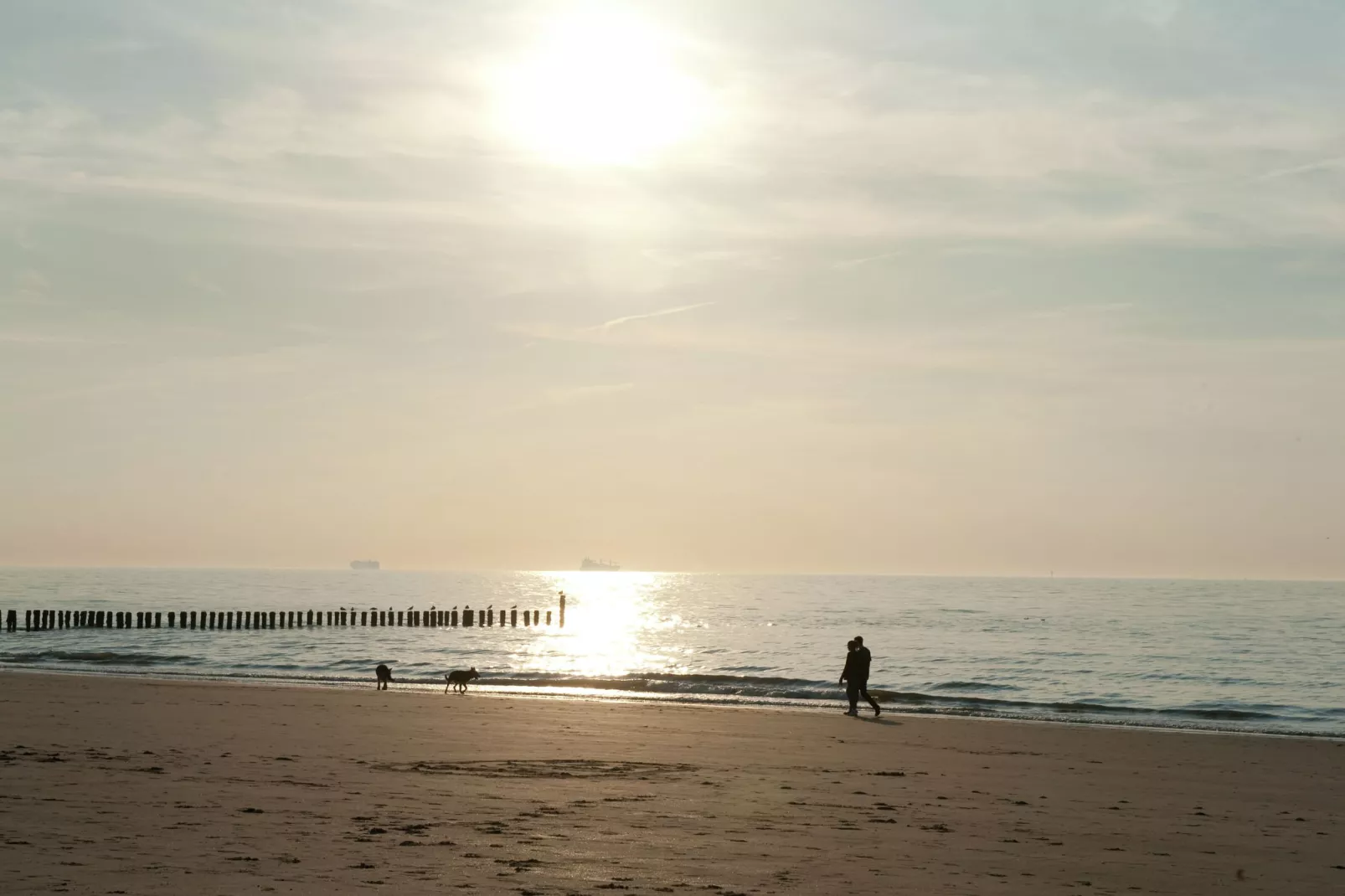 Noordzee Résidence Cadzand-Bad 9-Gebieden zomer 1km