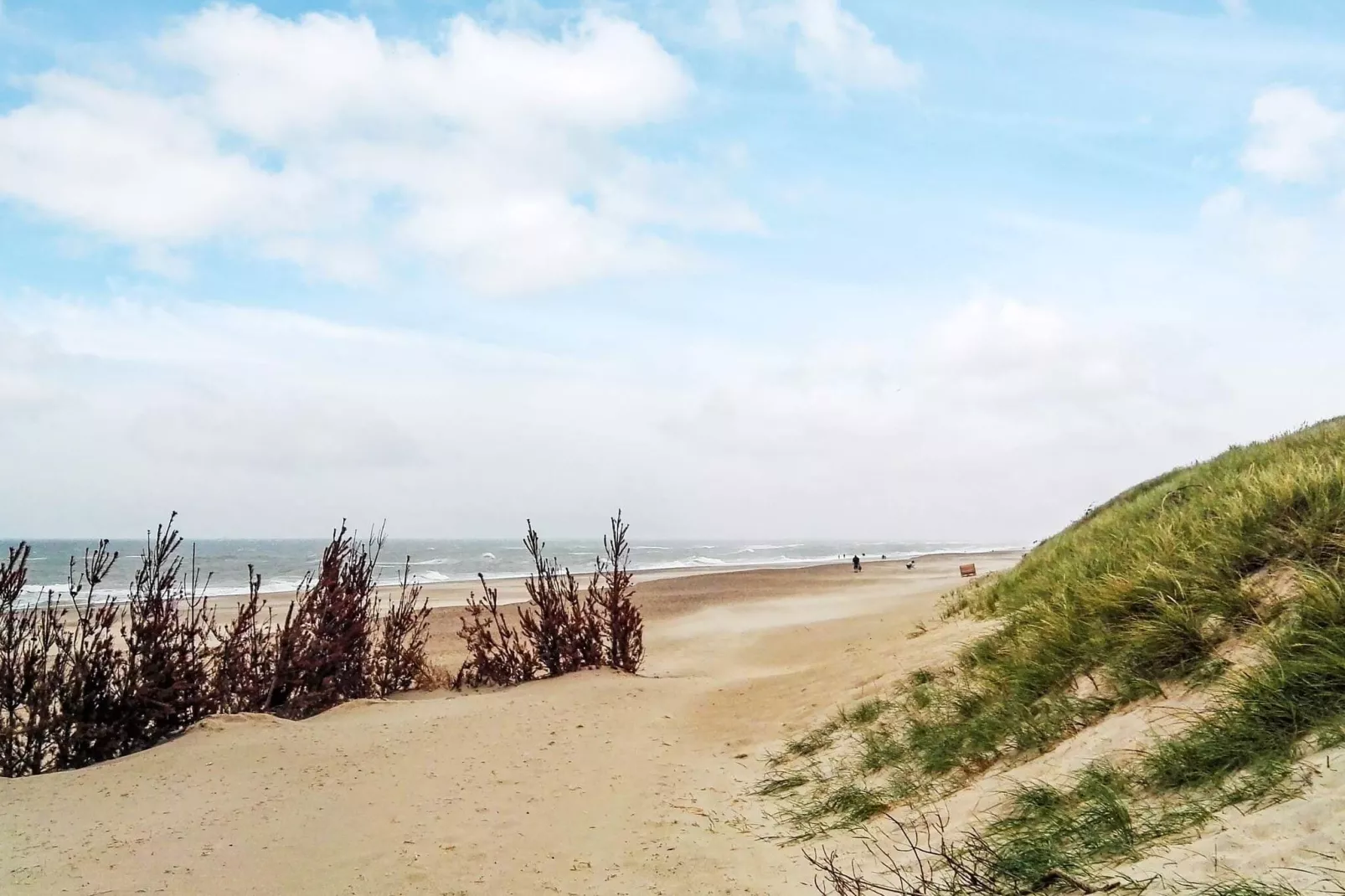 Modern vakantiehuis in Vrist dicht bij de zee-Uitzicht