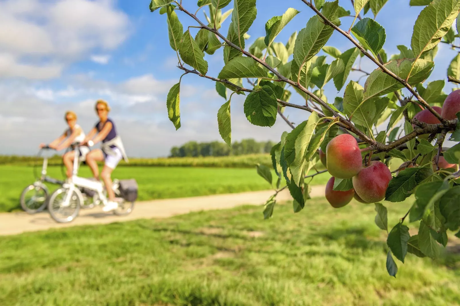 Domein Limburg 2-Parkfaciliteiten