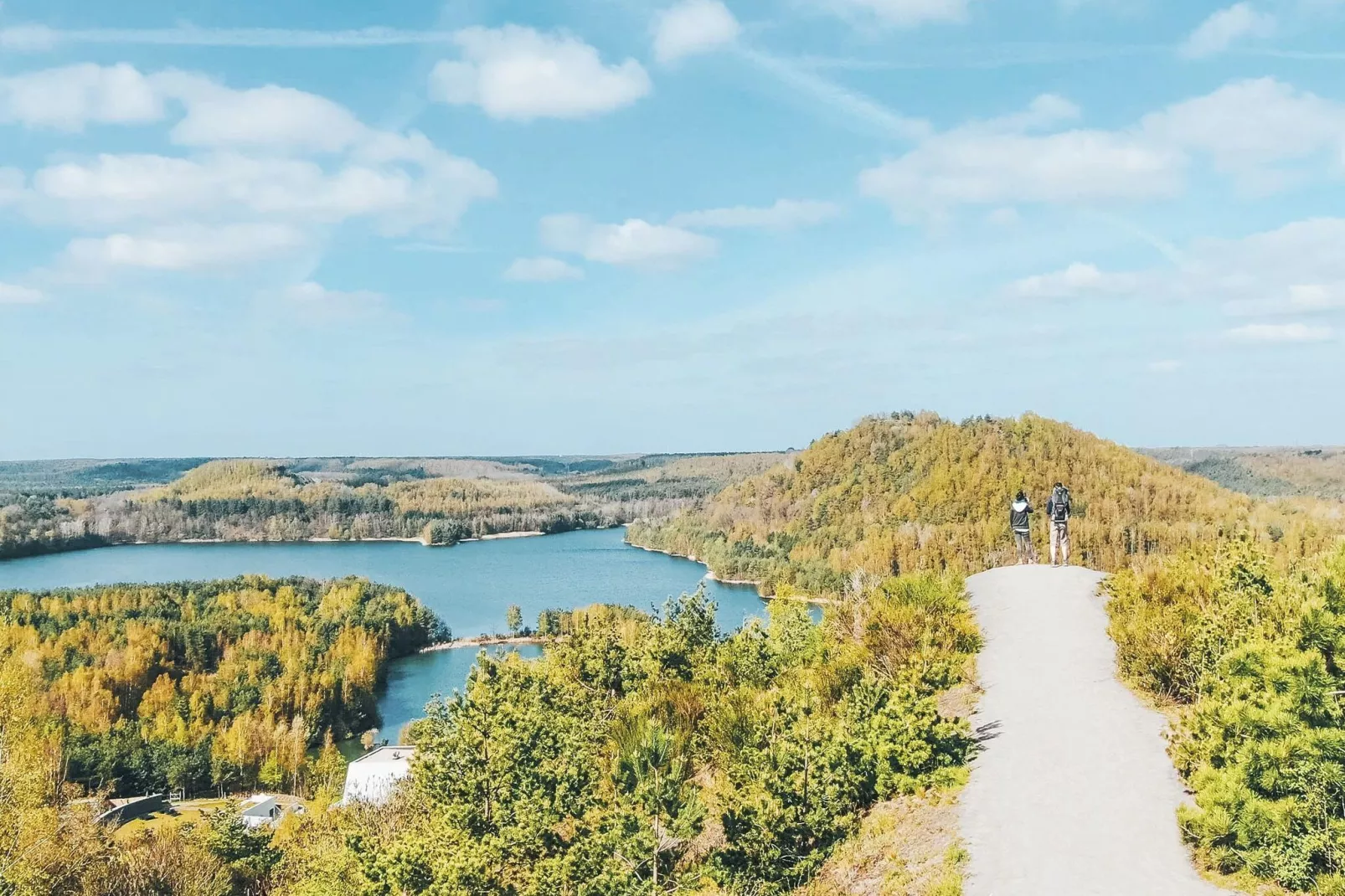 Domein Limburg 2-Gebieden zomer 1km