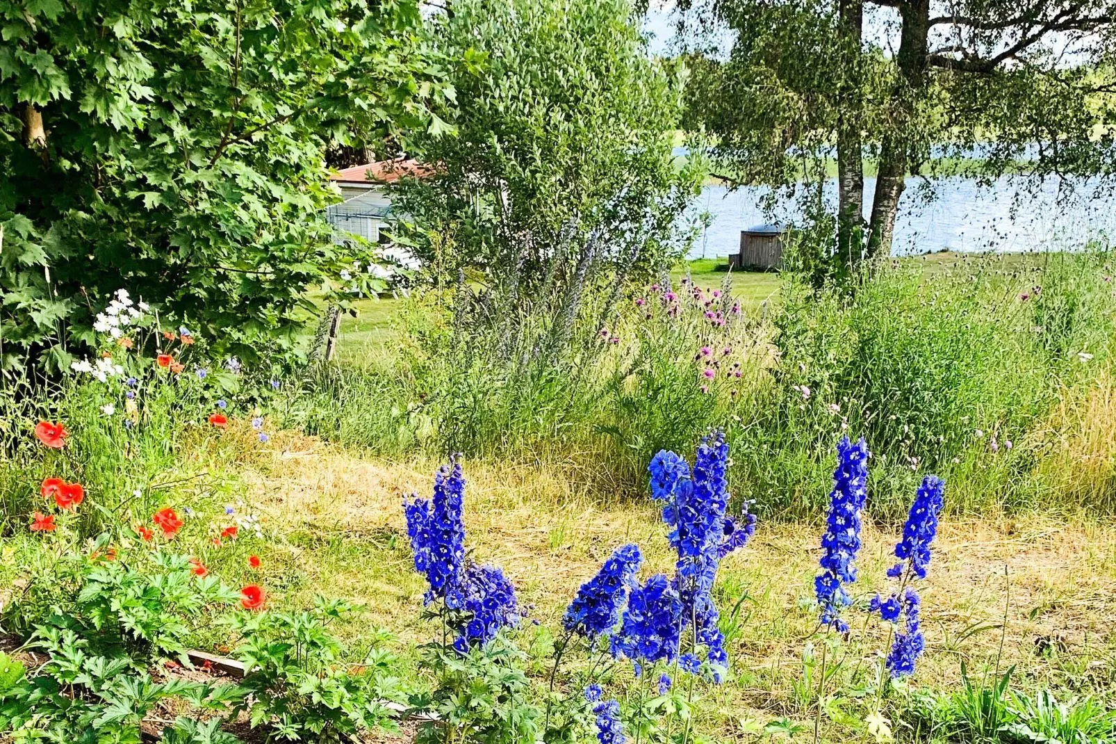 9 persoons vakantie huis in Bellö-By Traum-Niet-getagd