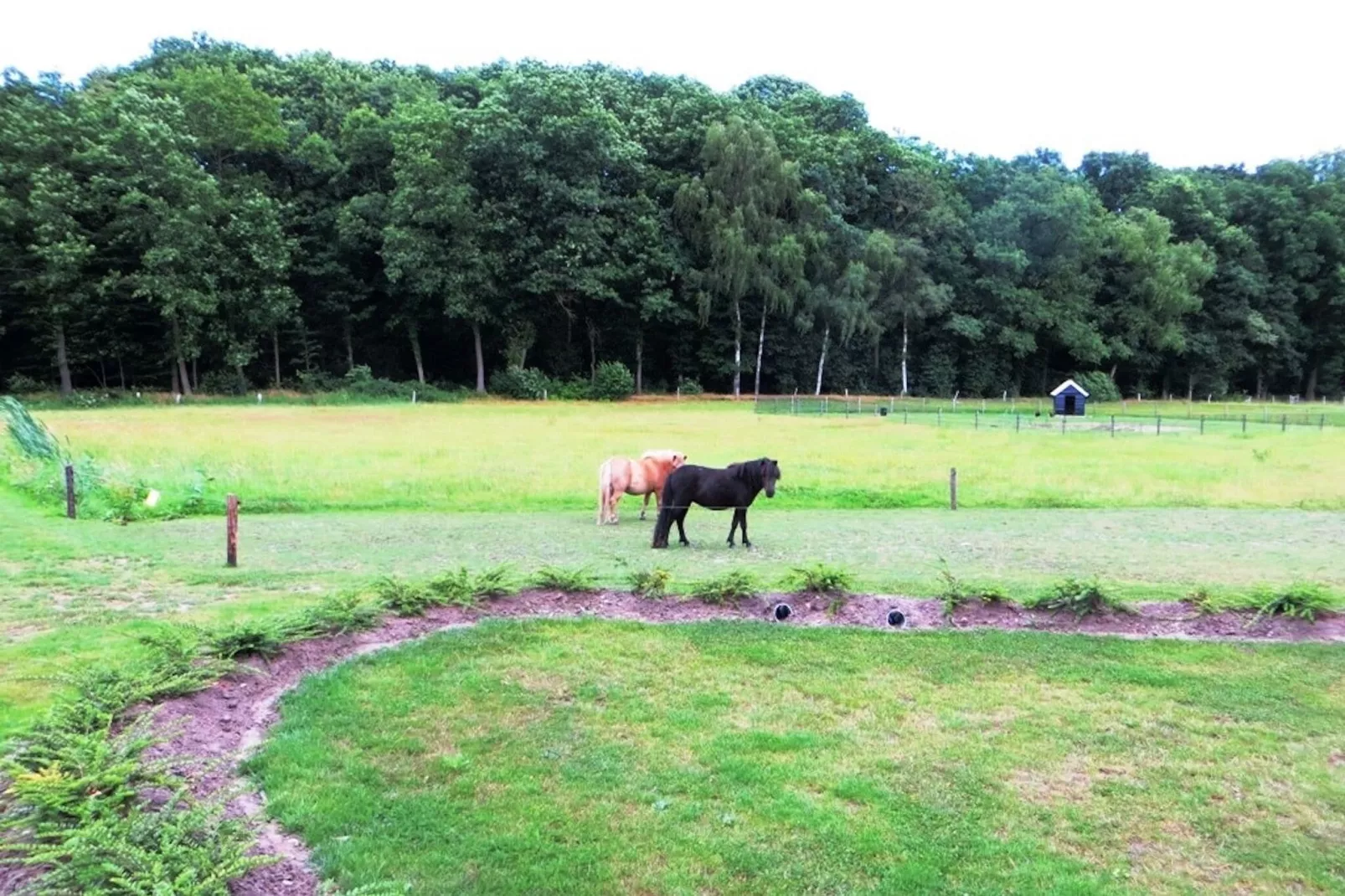 De Familieboerderij-Parkfaciliteiten