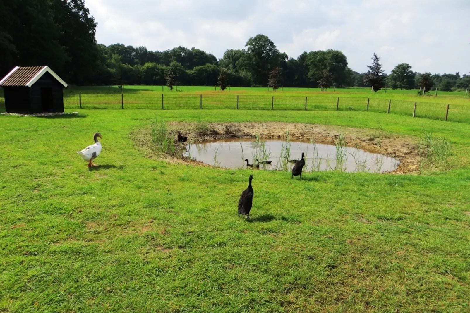 De Familieboerderij-Parkfaciliteiten