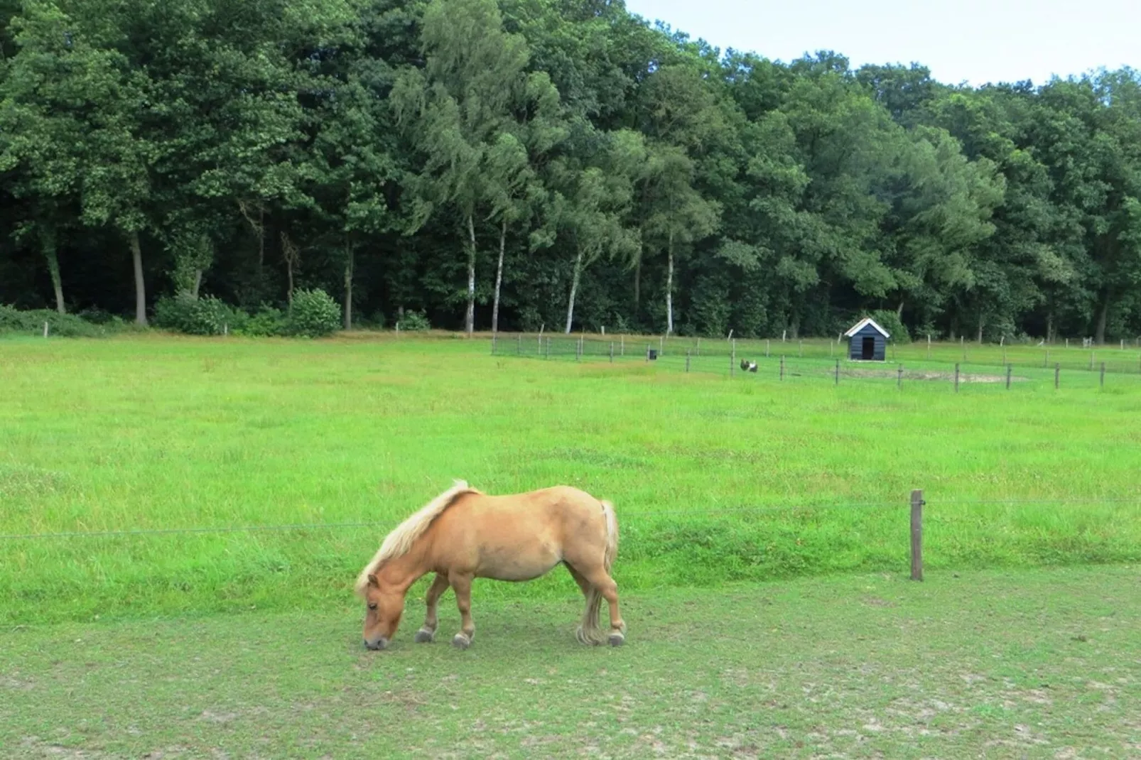 De Familieboerderij-Parkfaciliteiten