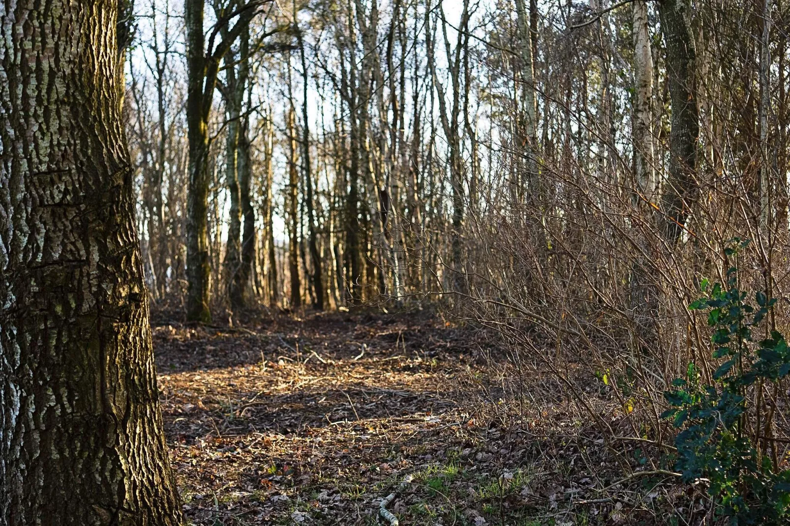 7 persoons vakantie huis in Roslev-Uitzicht