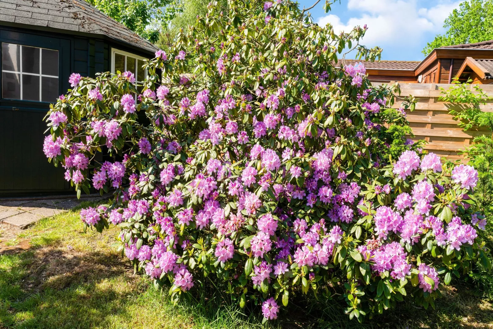 De Veluwse Kip-Tuinen zomer