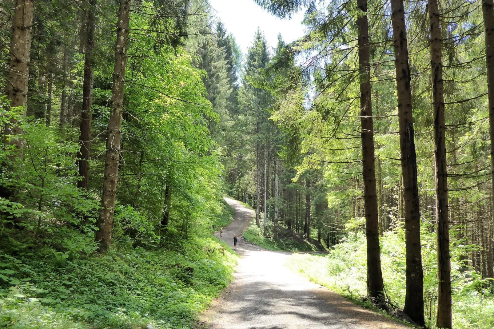 CASA TRAME DEGLI ANGELI-Gebieden zomer 20km