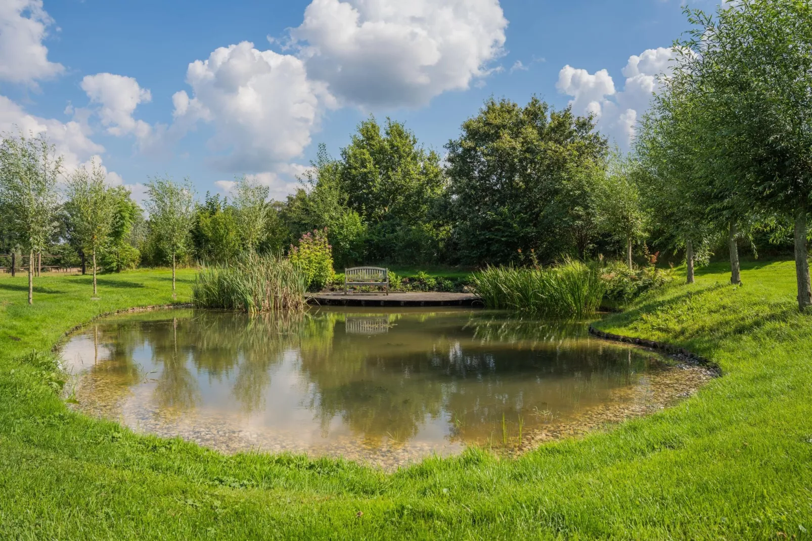 Boerderij Dwingelderveld-Gebieden zomer 1km