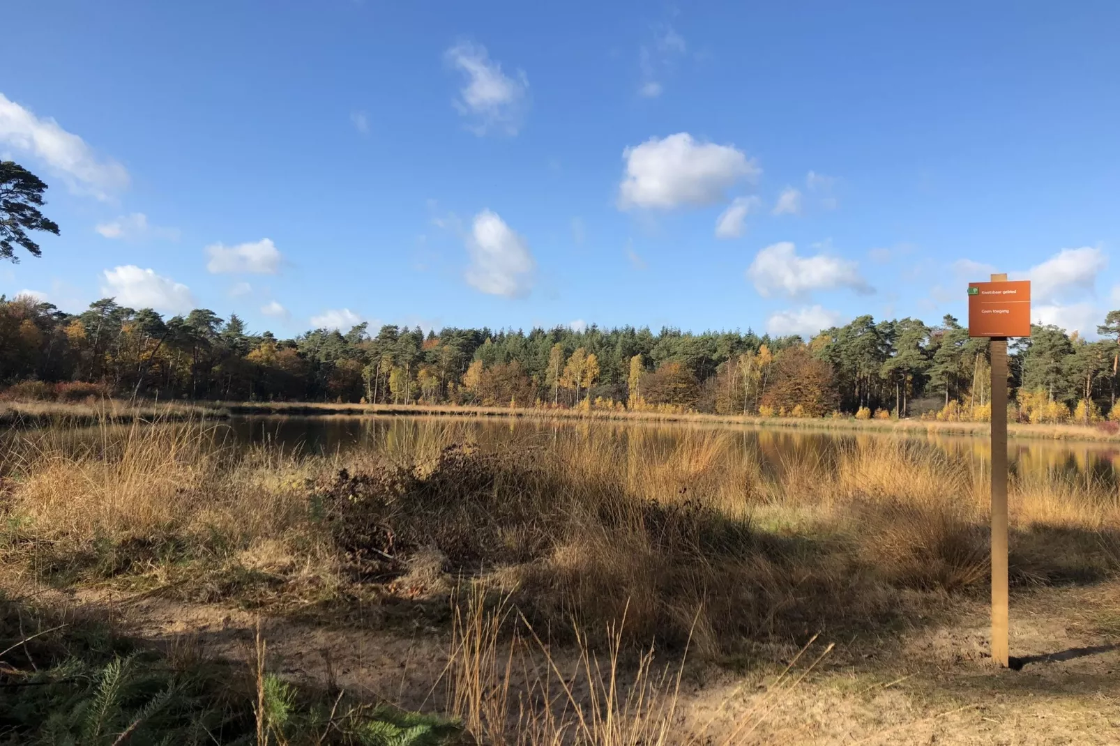 Boerderij Dwingelderveld-Gebieden zomer 20km