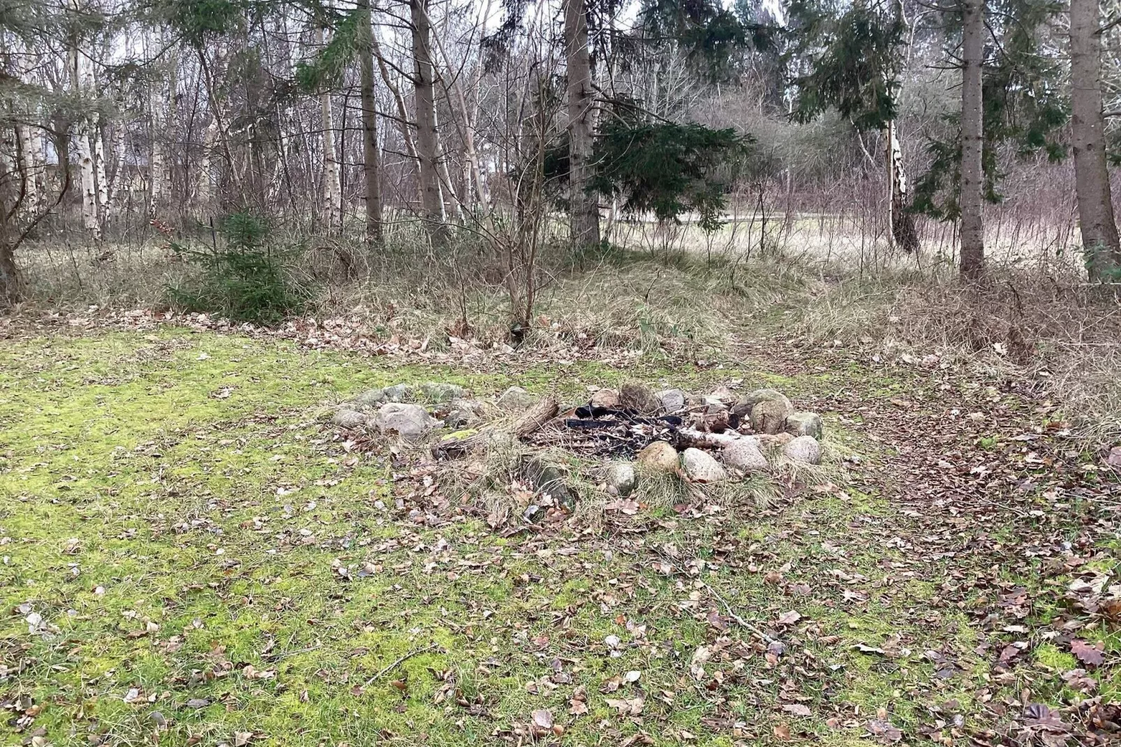 12 persoons vakantie huis in Rødby-By Traum-Niet-getagd
