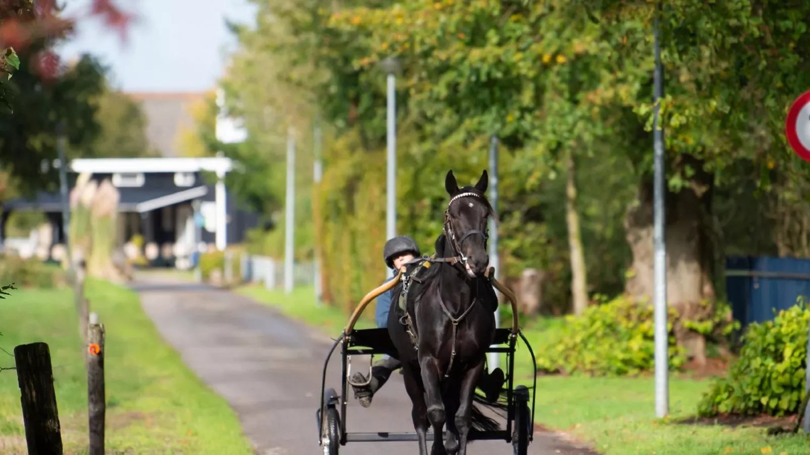 Schaapskooi-Parkfaciliteiten