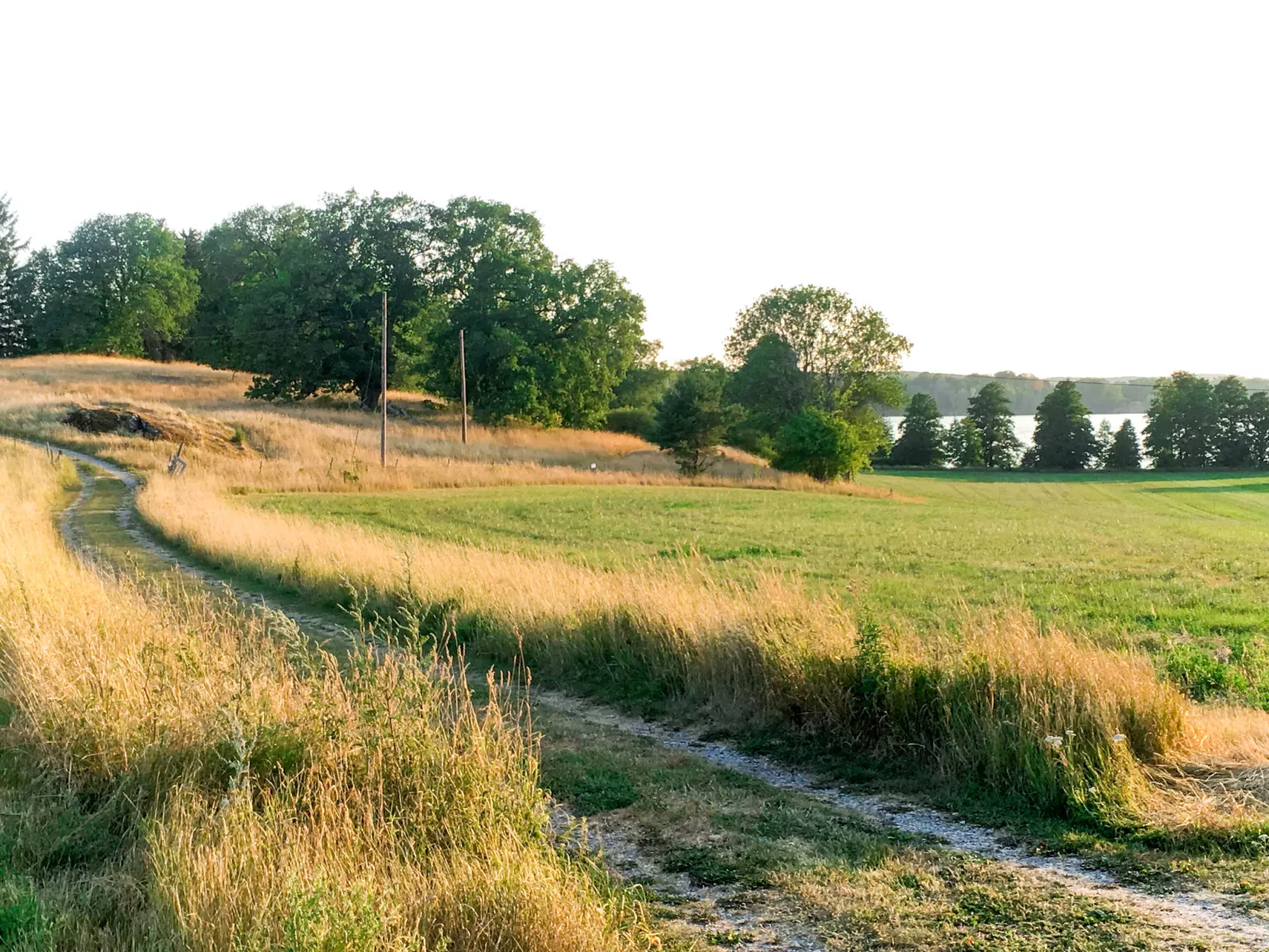 Ilandet-Buiten