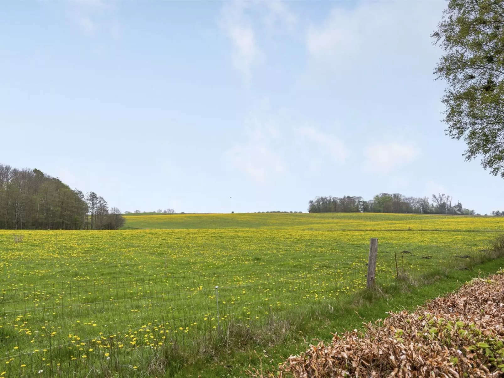 "Kate" - 1km from the sea-Buiten