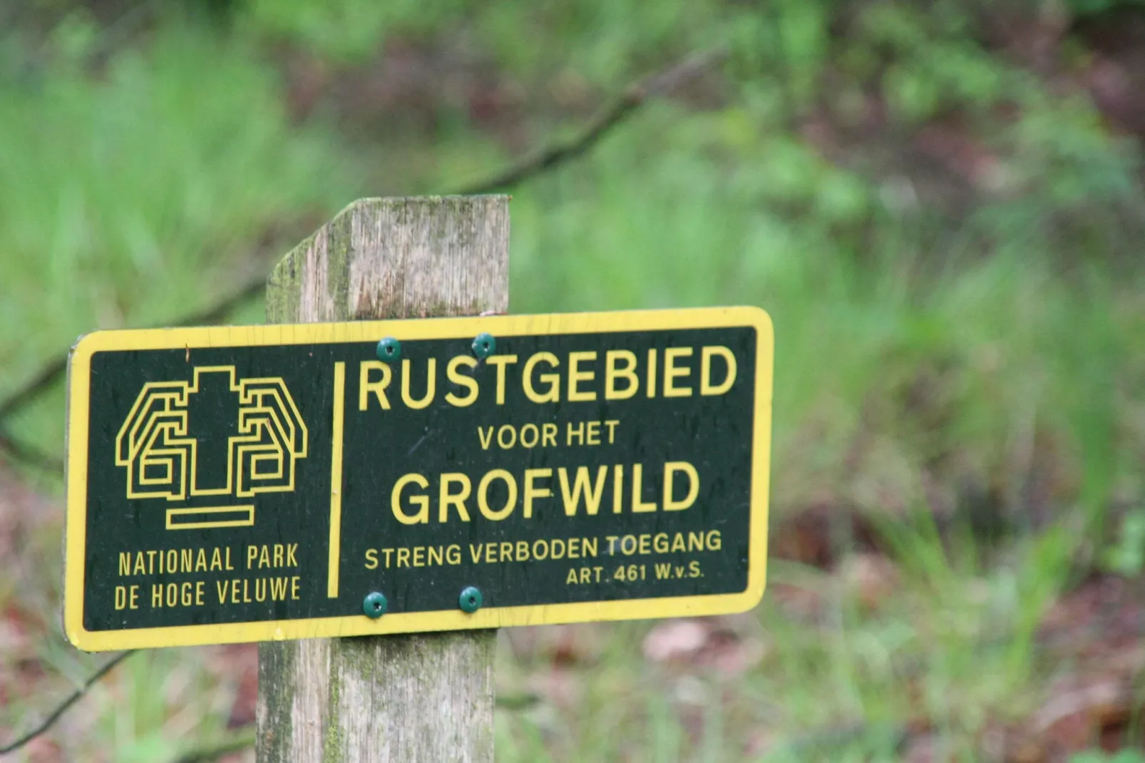De Veluwse Eekhoorn-Gebieden zomer 5km