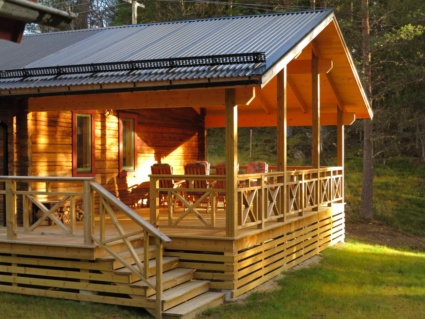 Kvisthån Tallen-Buiten