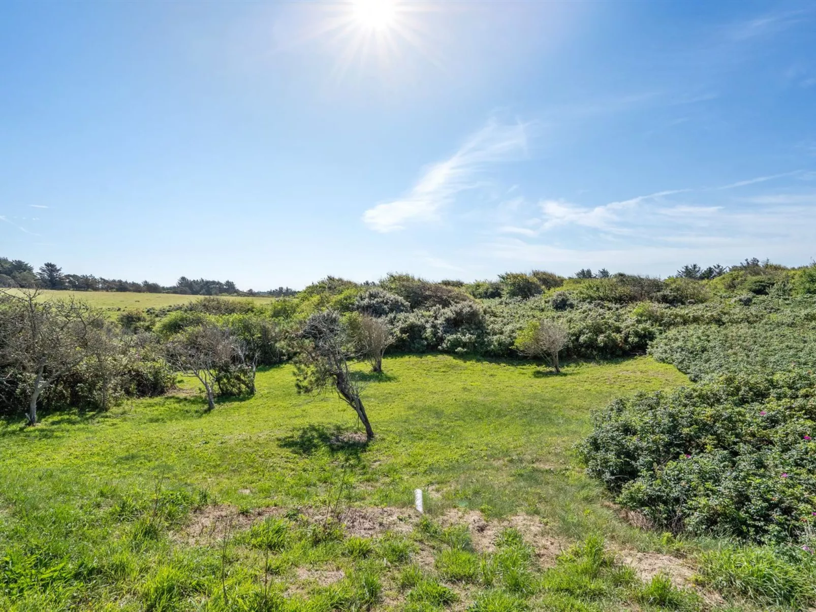 "Vilda" - 416m from the sea-Buiten