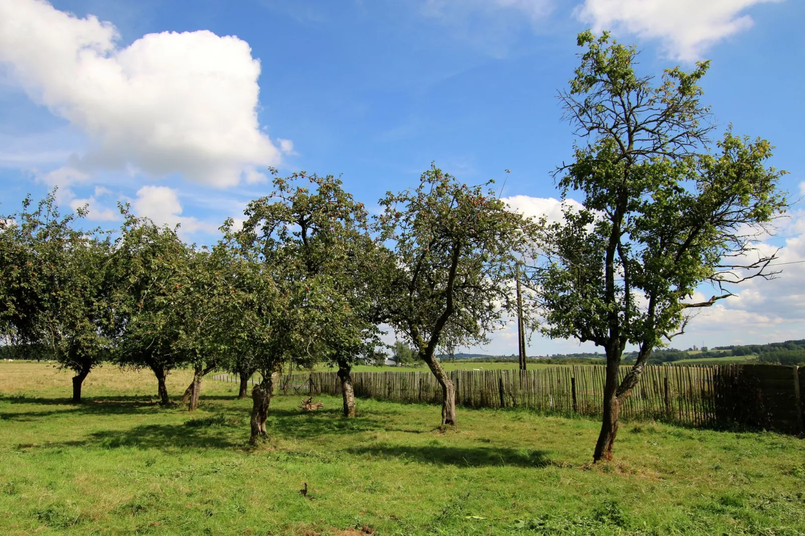 Gîte du Haut Chemin-Tuinen zomer