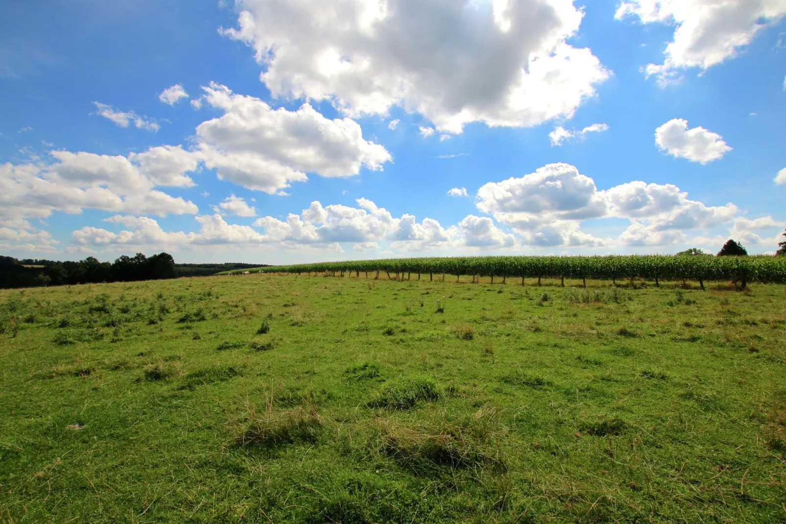 Gîte du Haut Chemin-Gebieden zomer 1km