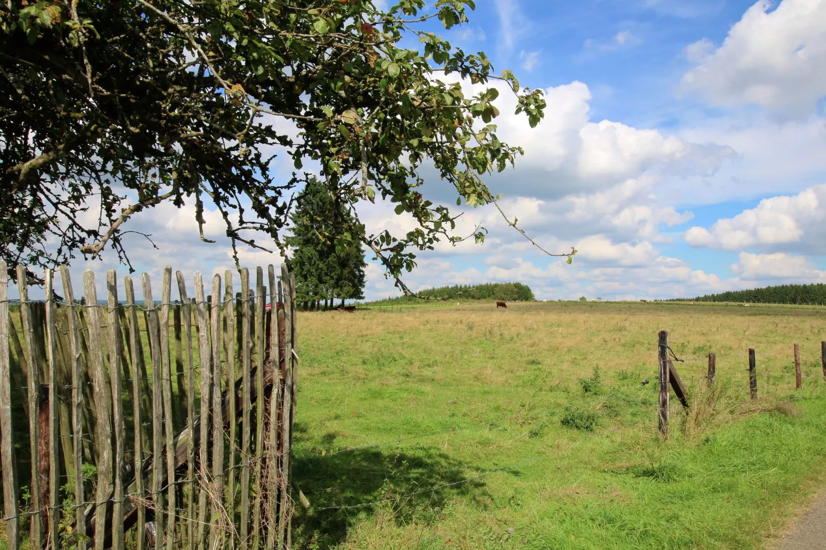 Gîte du Haut Chemin-Gebieden zomer 1km