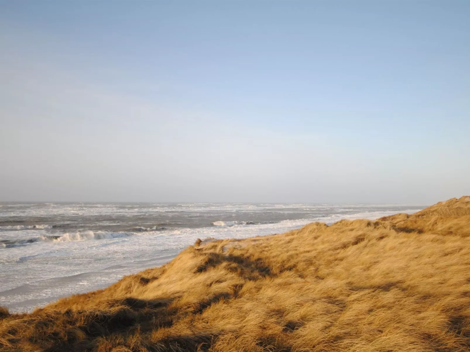 "Slava" - 250m from the sea-Buiten