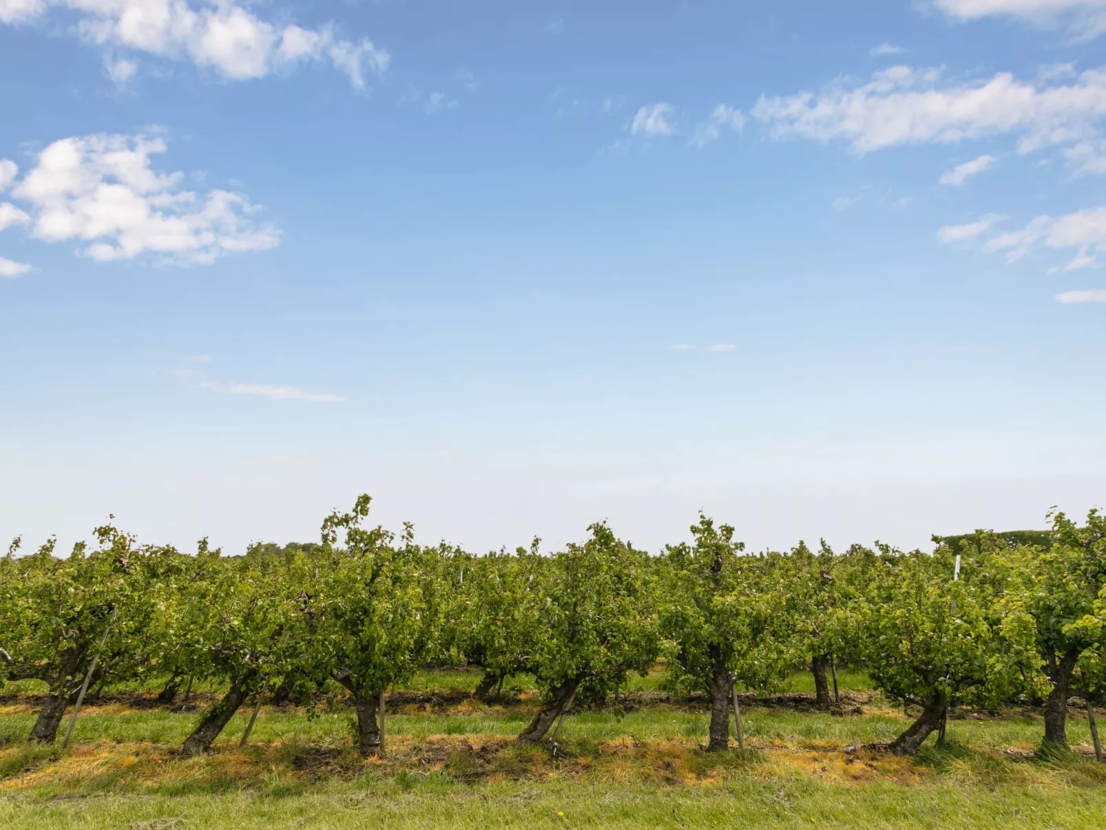 Groepswoning De Appelgaard-Buiten