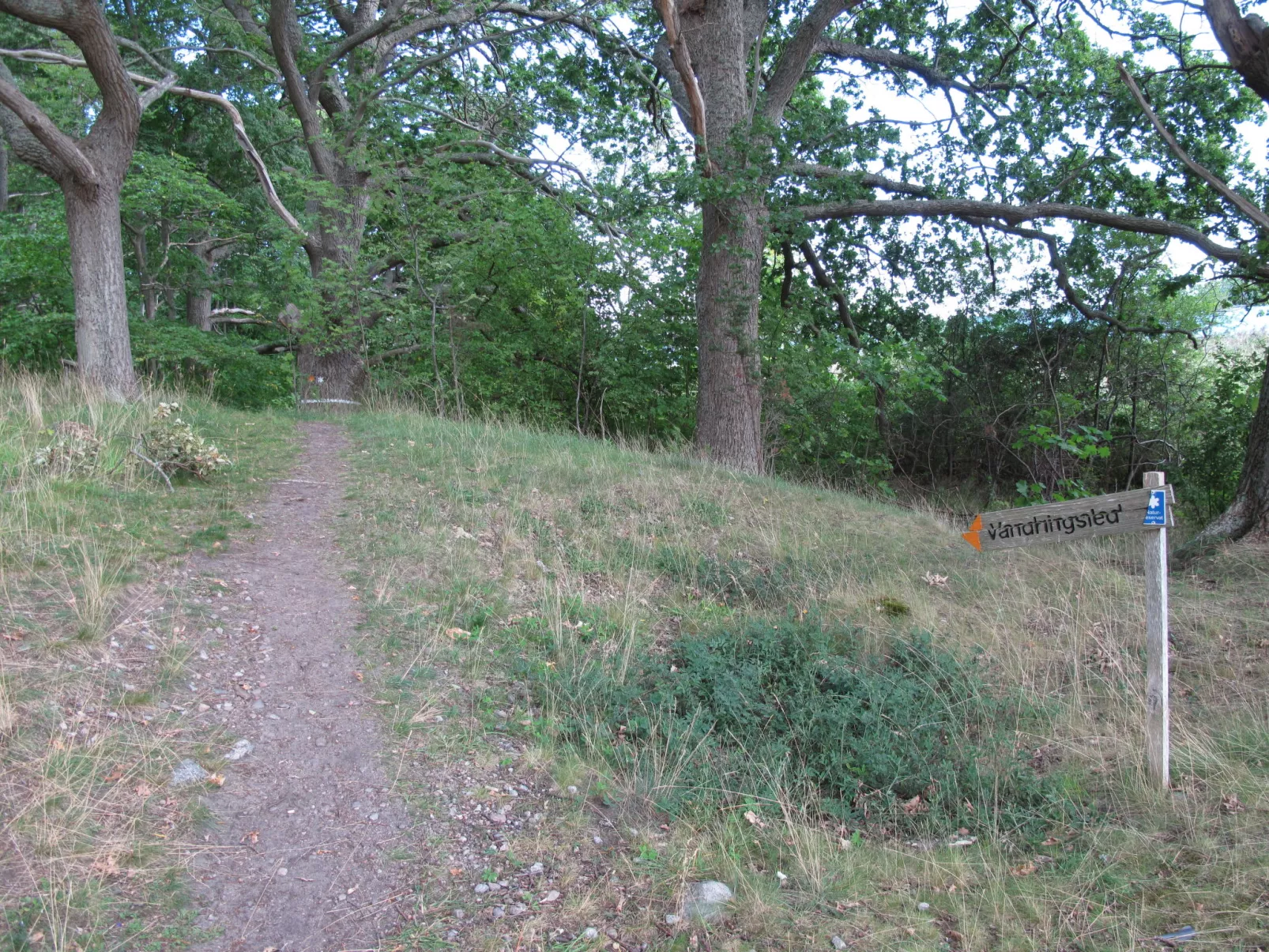 Stegeborg Norrkrog-Buiten